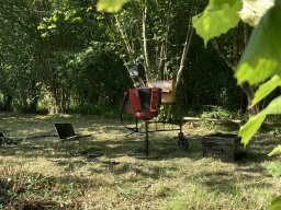 Dedans dans les bois 2