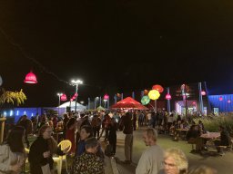 Dedans au festival Fisel 1